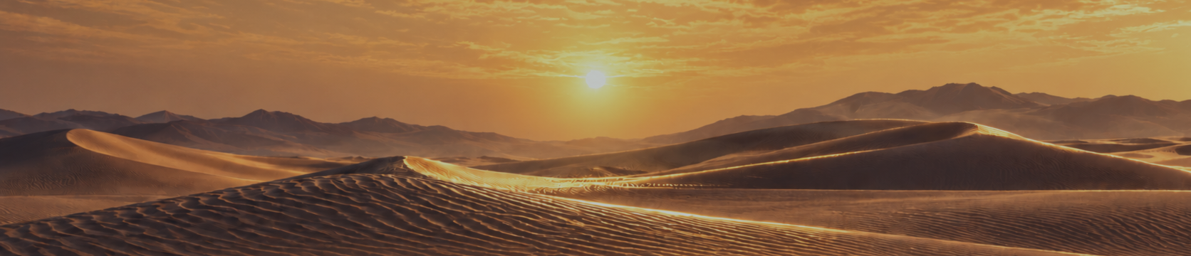 From Backtest to OOS: Building Mother Superior as an Eight-Module Gold Portfolio