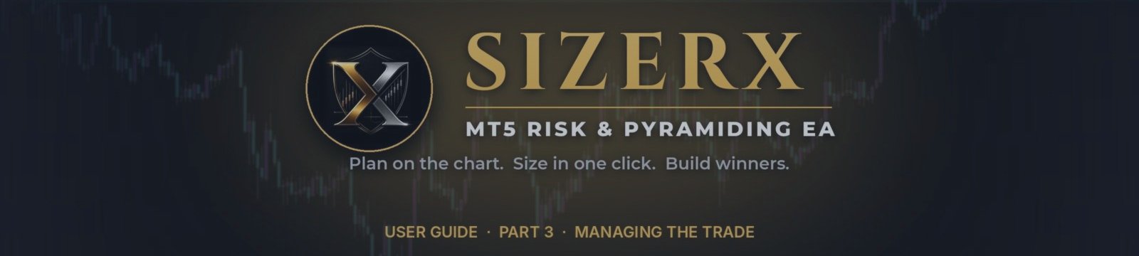 SizerX User Guide – Part 3: Managing the Trade