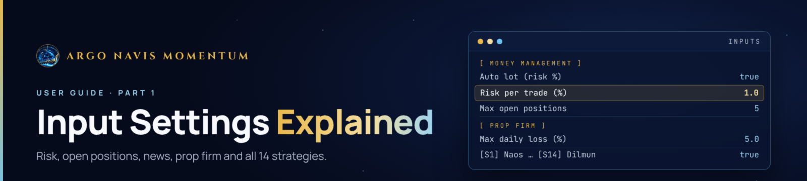 Argo Navis Momentum – Input Settings Explained