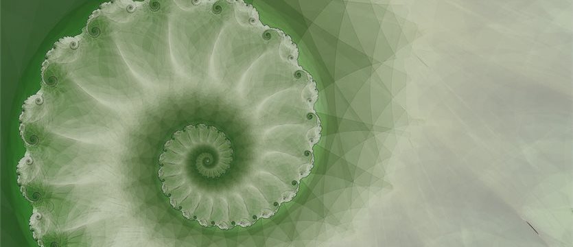 TRADING MANUAL - How To Use Fibonacci