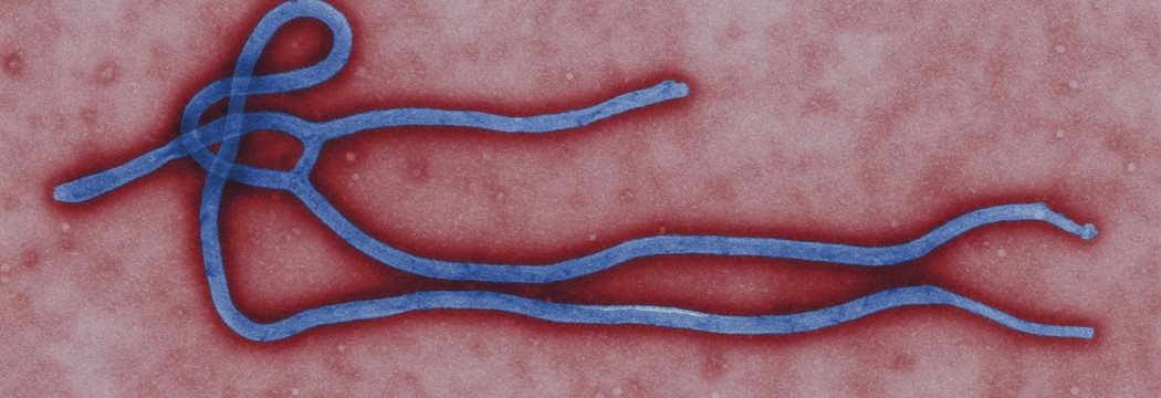 Merck и NewLink станут сотрудничать по разработке вакцины от вируса Эбола