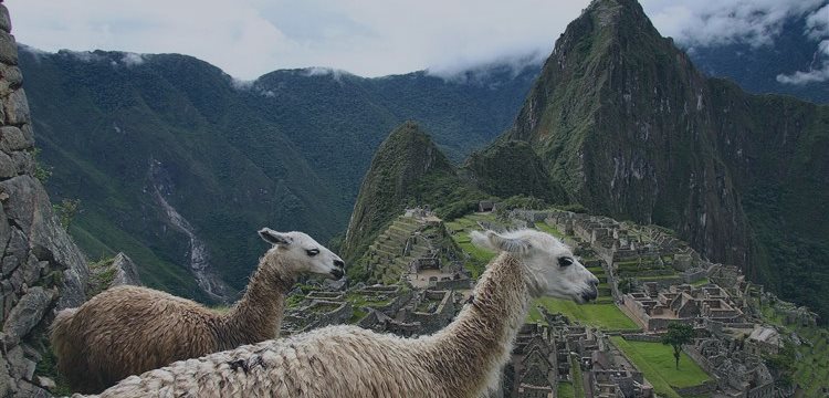 Oxford Economics: Perú crecerá un 4,8 por ciento en 2015