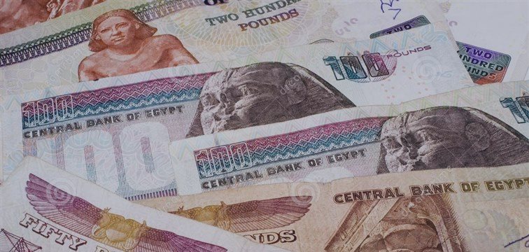 俄罗斯埃及讨论使用两国本币进行双边贸易结算