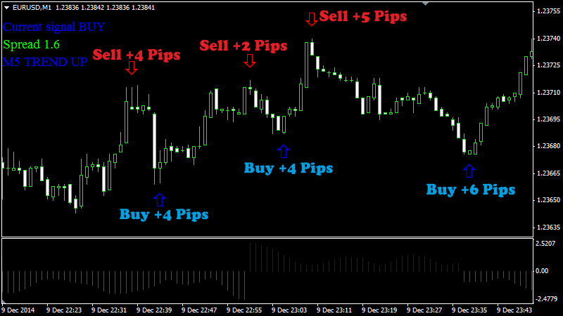 Forex Double Scalper Other 13 February 2015 Traders Blogs - 