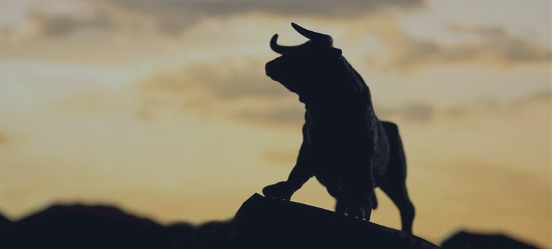 Нынешний бычий рынок в США — третий по длительности за всю историю