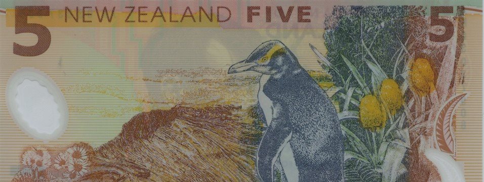 Kiwi supported after upbeat data from New Zealand, Aussie drops