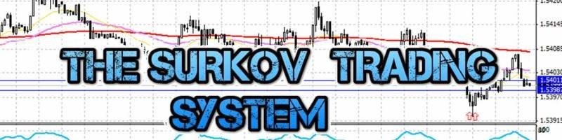 Торговая система Алексея Суркова