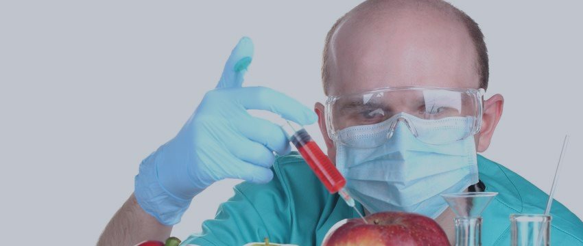 Дворкович: Россия не будет производить продовольственное сырье из ГМО
