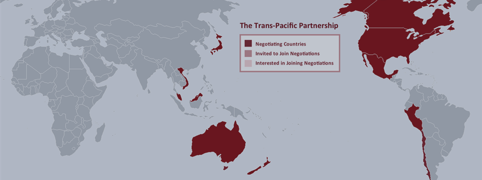 TPP: Too early to drink champagne