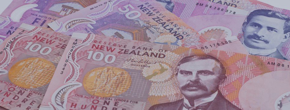 New Zealand Dollar Fell Ignoring Statistics