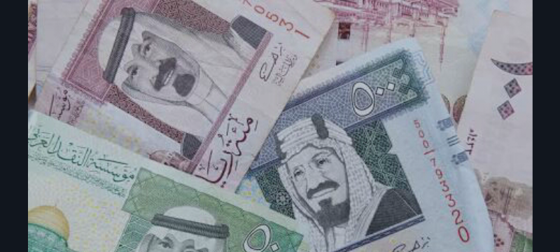 Hedge Fund Shorts Saudi Riyal