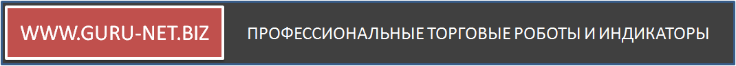 Перейти на веб-сайт www.guru-net.biz