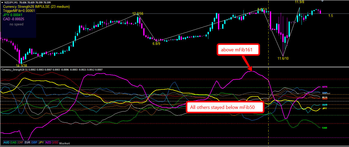 xm review forex factory