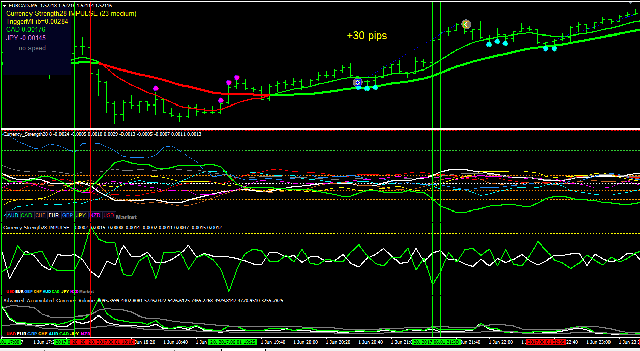 Forex live currency strength