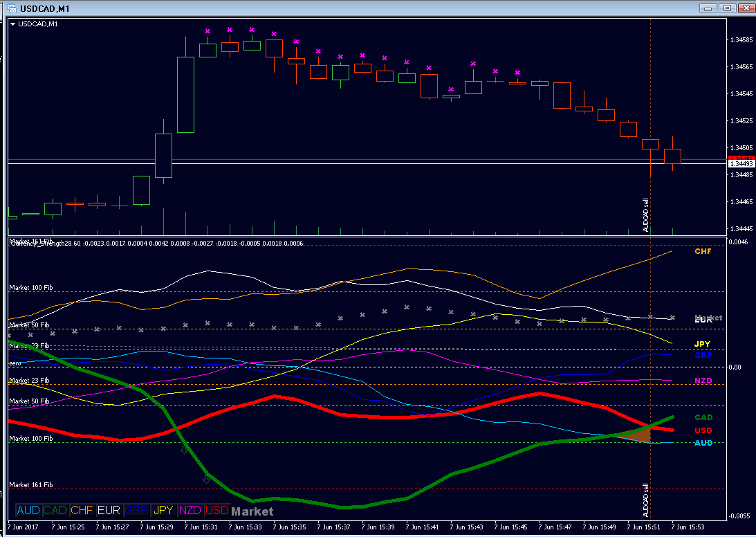 outer MFib 161 hit CAD