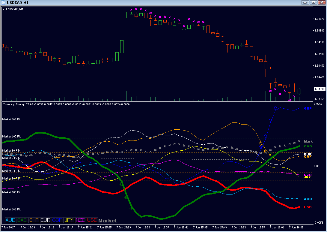 outer MFib 161 hit CAD