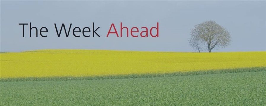 (04 JUNE 2017)The week ahead: UK election, ECB meeting