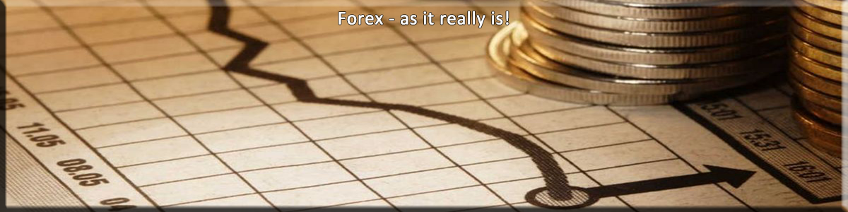 5 Forex Beginner Tips That Will Save You Money