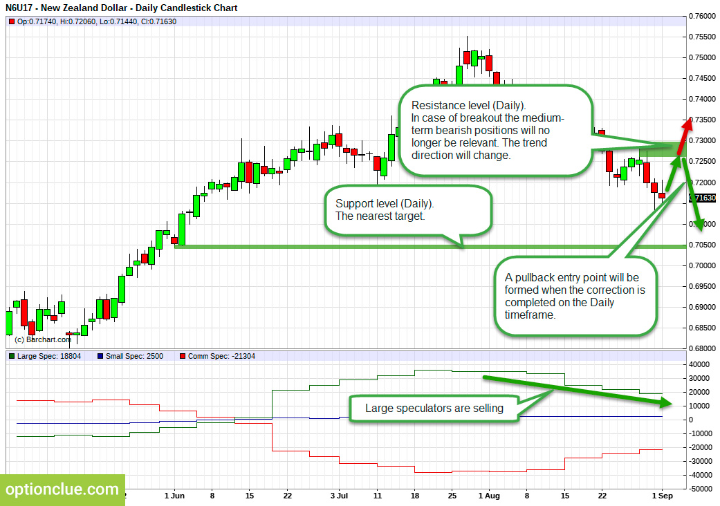 NZDUSD. Technical analysis and COT net position indicator.