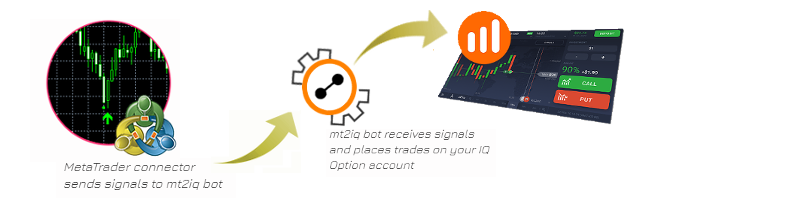 Automated Trading On Iqoption Directly From Metatrader My Trading - 