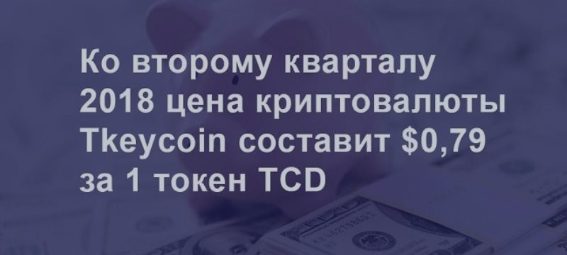 До выхода на ICO стоимость криптовалюты Tkeycoin будет дорожать