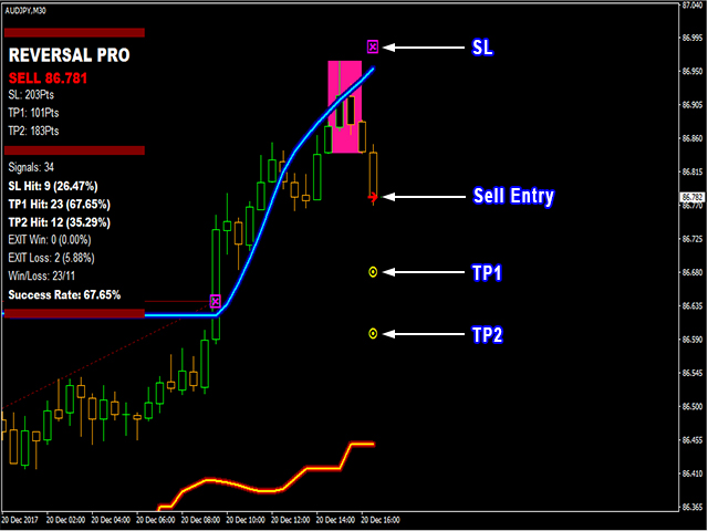 Unveiling TP1 in Forex – The Key to Effective Trade Management