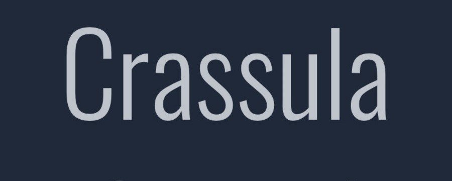 Crassula Capital запустит ICO для инвестиций в криптовалюты и драгметаллы
