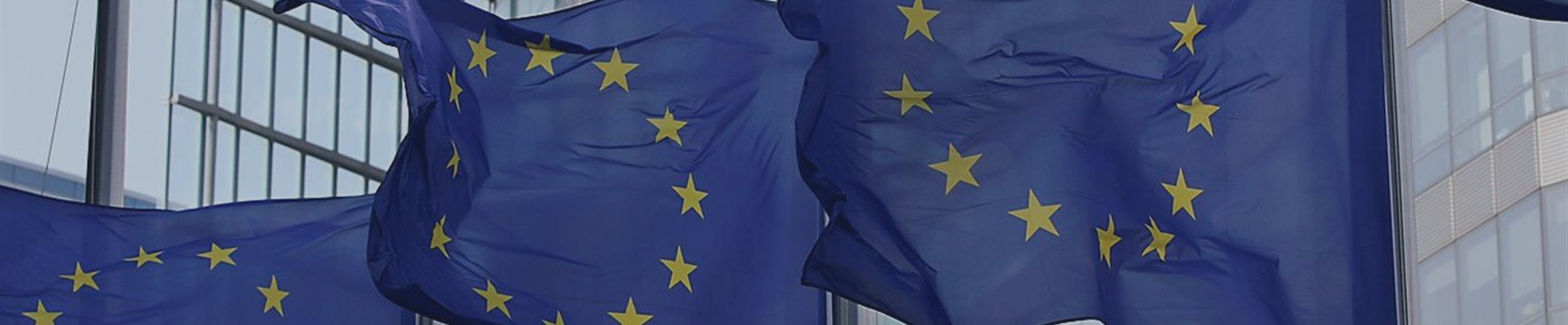 ЕС собрался ответить Трампу пошлиной в 25% на часть импорта из США