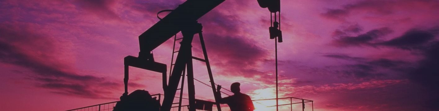 Эксперты РАНХиГС констатировали сохранение зависимости экономики РФ от нефтегазовых доходов