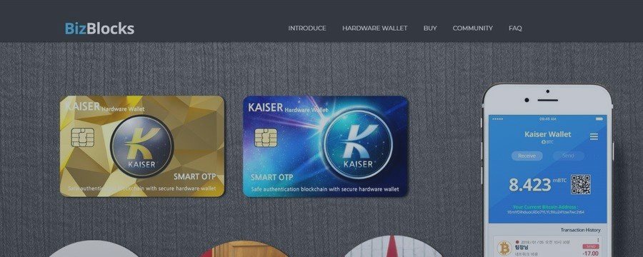 Комплексную платформу Kaiser Wallet представитBizblocks