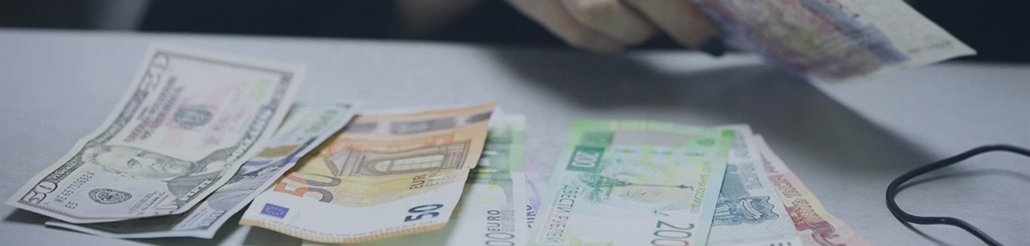 ЦБ возобновил покупку валюты для Минфина