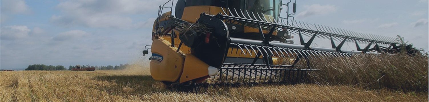 WSJ: рекордные объемы экспорта пшеницы из России угрожают благосостоянию фермеров США