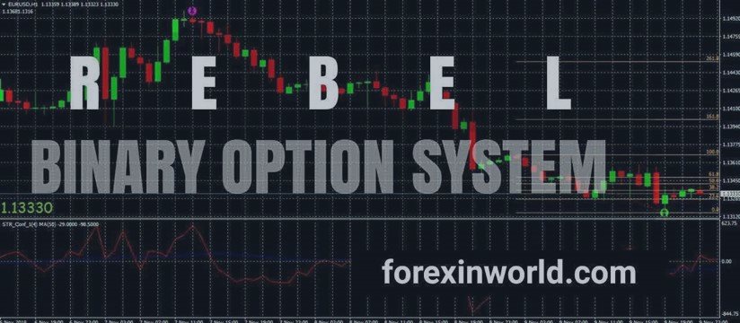 rebel binary option trading strategy