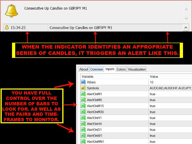 CONSECUTIVE BAR SCANNER 2