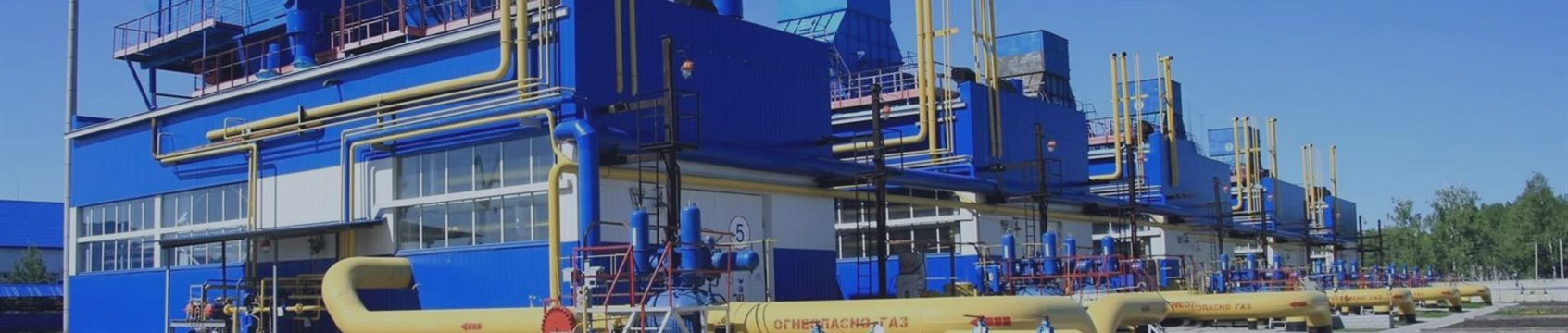 Акции «Газпрома» растут после решения о дивидендах