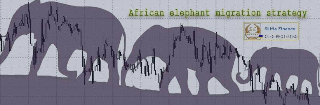 African elephant migration strategy - Торговые системы - 8 мая 2020