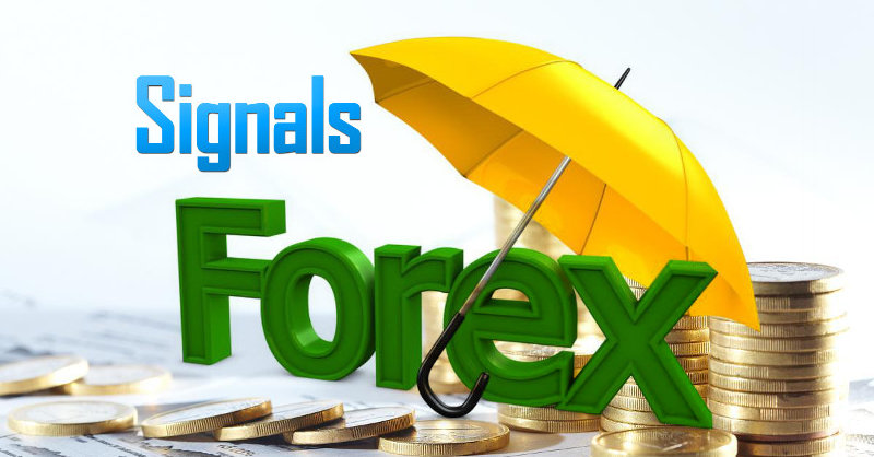 Daily Forex market analysis