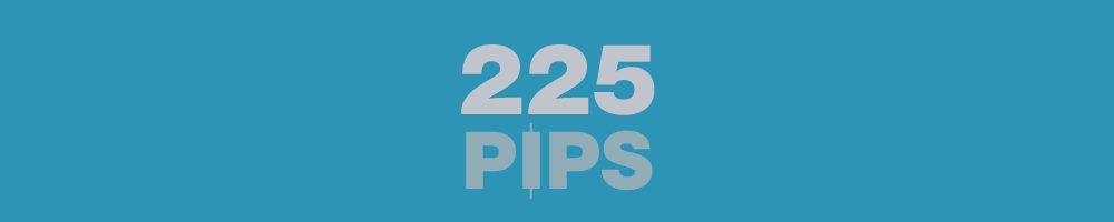 Description of the work EA "225 pips"
