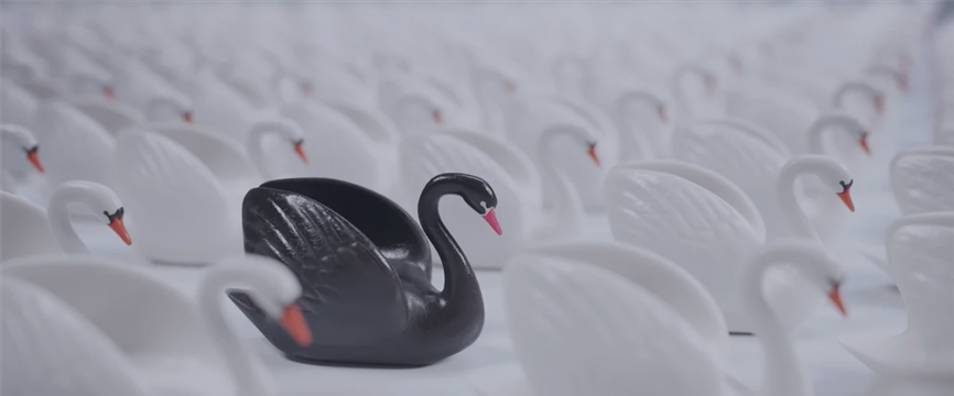 Black swans of the American stock market.