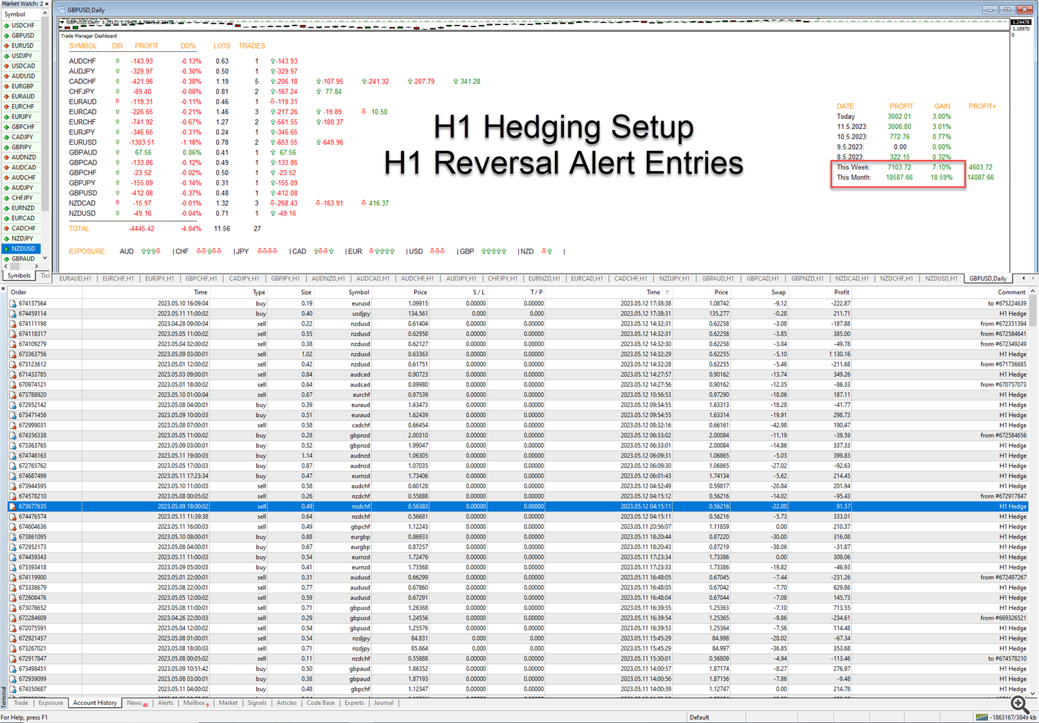 H1 Hedging Strategy