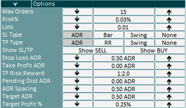 Options Section