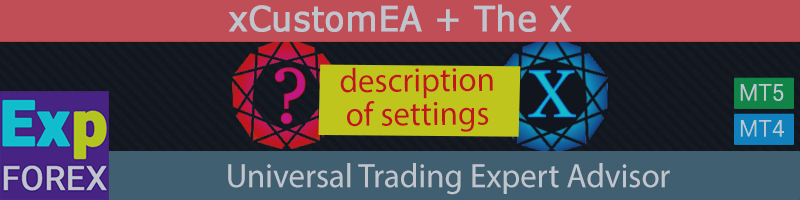 THE X AND XCUSTOMEA DESCRIPTIONS OF SETTINGS AND EXTERNAL VARIABLES