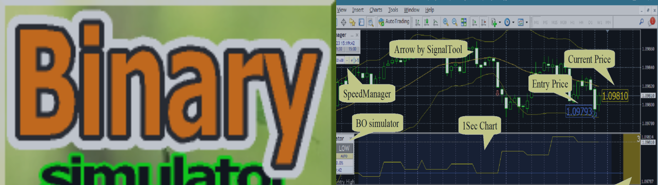 How to use Binary Lab simulator