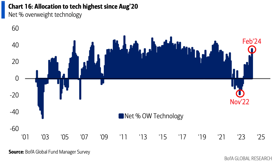 Overweight of US technology stocks in fund managers' portfolios