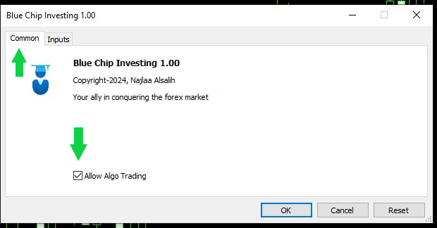 MT5 Algo Trading Allowed