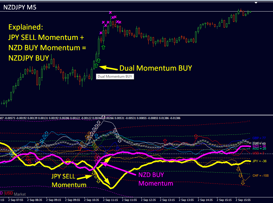 BUY and SELL MOMENTUM