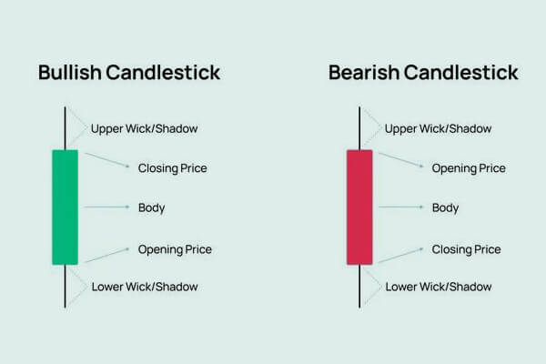 Candlestick Charts