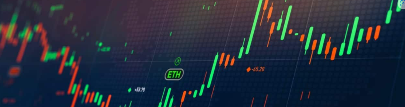 REPORT anno 2024 trading forex