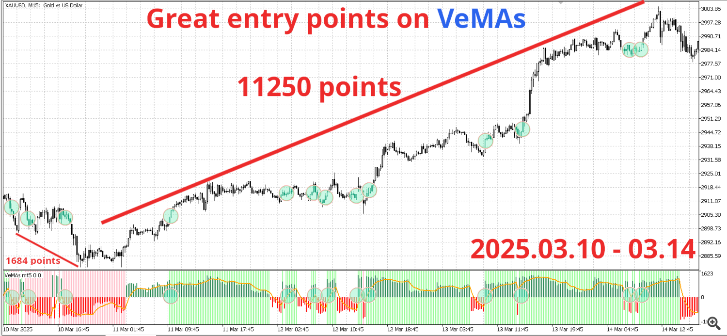 2025.03.10 - 2025.03.14