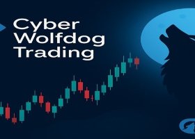“Why Independent EA Testing Increases Sales – Cyber Wolfdog's Proven Review Process”